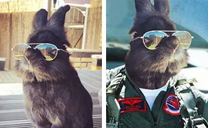 Somebody Put Sunglasses On A Bunny And It Started An Epic Photoshop Battle (70 Pics)