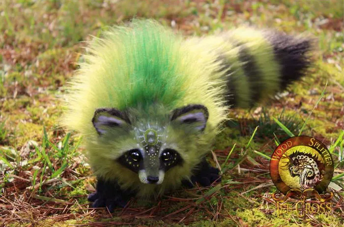 "Olive," The Baby Green Raccoon