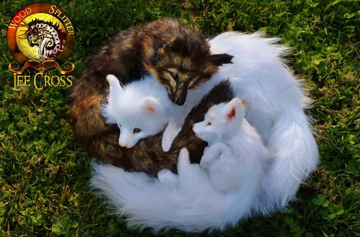 "Dustan," the Timber Fox