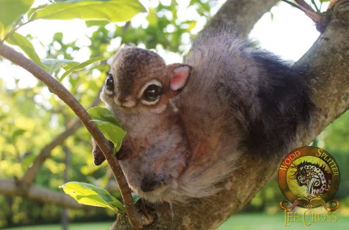 "Chesnutt," The Baby Squirrel