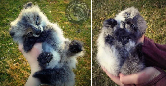 Realistic Life Sized Sleeping Wolf Pup