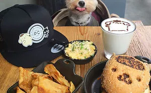 Starving Homeless Dog Gets Rescued And Taken To Pet-Friendly Restaurants Every Day