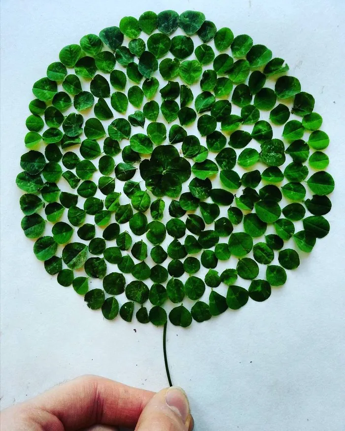 This Instagram Is So Satisfying It Will Give You An Eyegasm