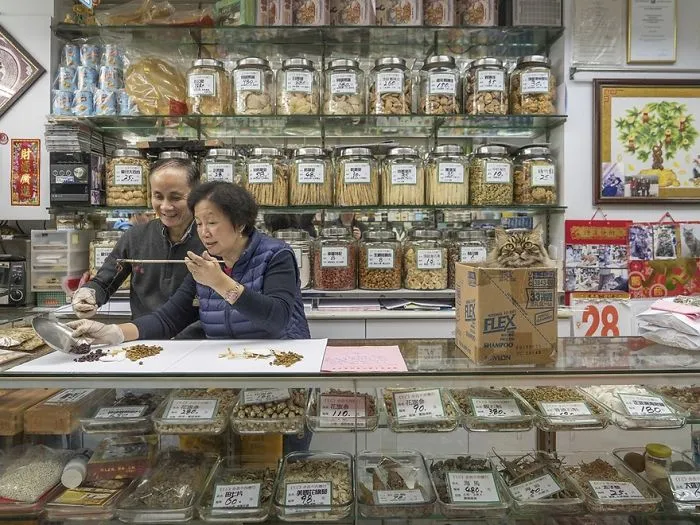 Photographer Documents The Secret Lives Of Cats Living in Hong Kong's Stores (47 Pics)