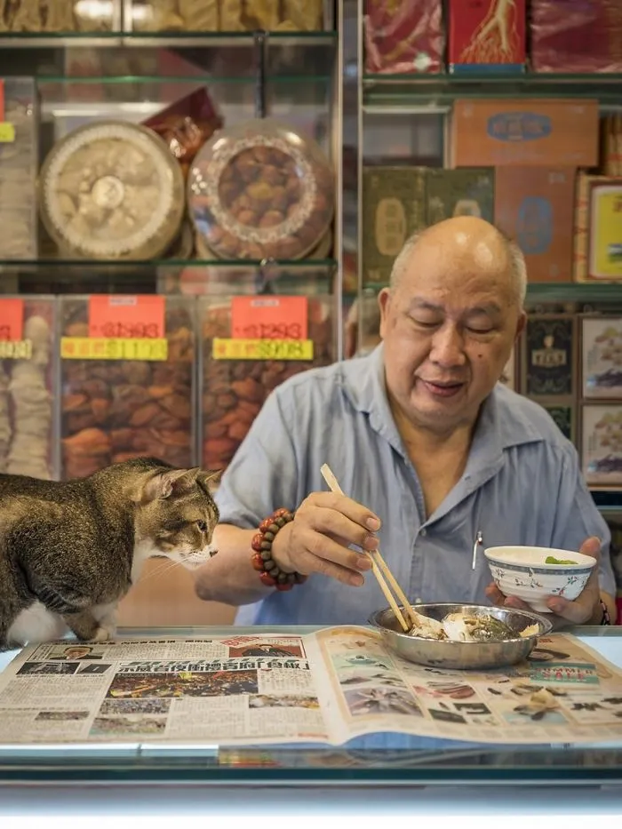 Photographer Documents The Secret Lives Of Cats Living in Hong Kong's Stores (47 Pics)