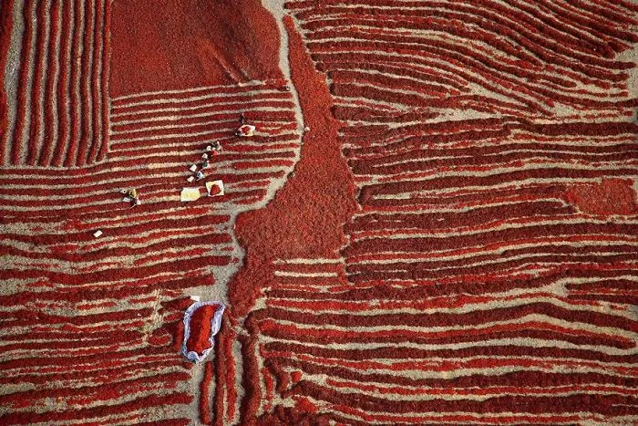 Harvest Season (Honorable Mention In Open Color Category)