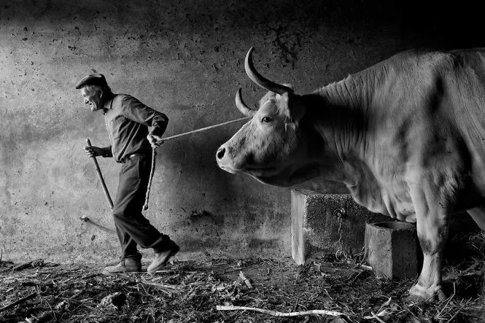 Rural Portuguese People - Beginning Of The Day (Remarkable Award, People And Portrait Category)