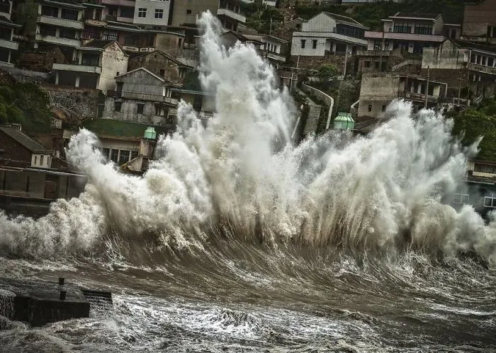 Typhoon (Honorable Mention In Open Color Category)