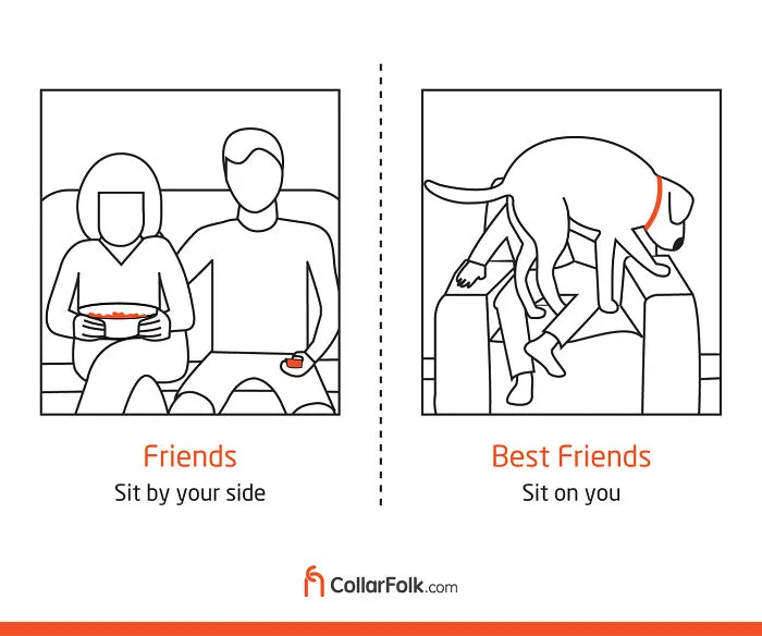 These Illustrations Prove That Dog Is Man's Best Friend