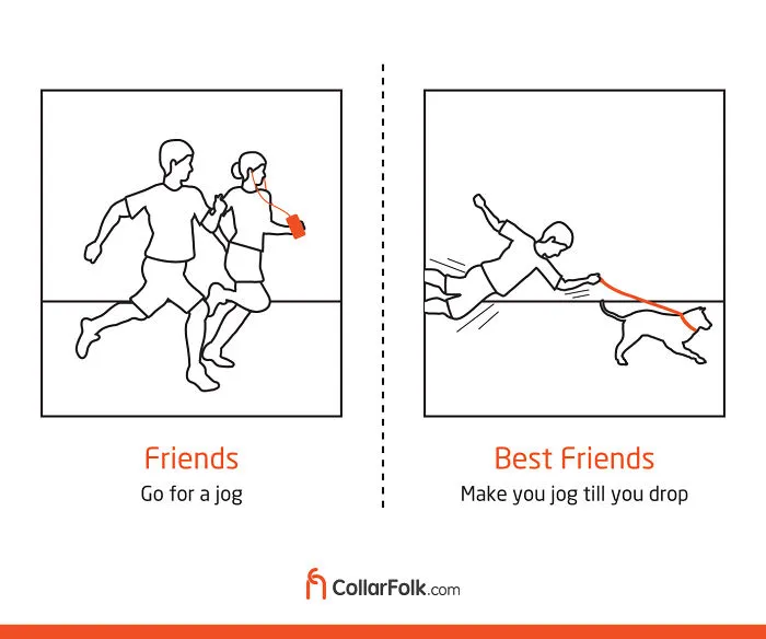 These Illustrations Prove That Dog Is Man's Best Friend