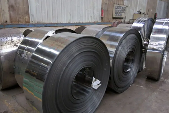 Stainless Steel Strips