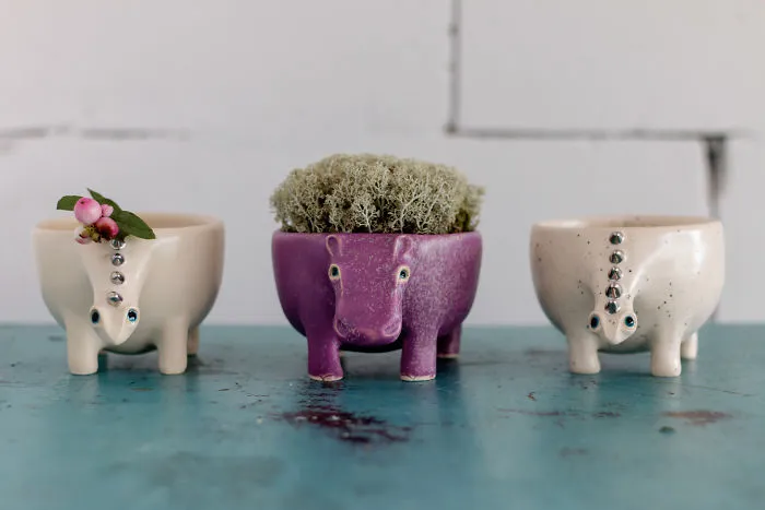 I Make These Magical Ceramic Animals