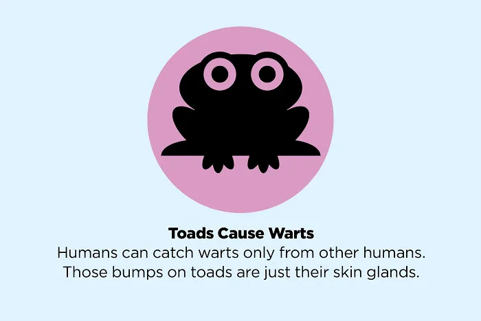 These 50 Facts You Always Believed Are Actually Fake