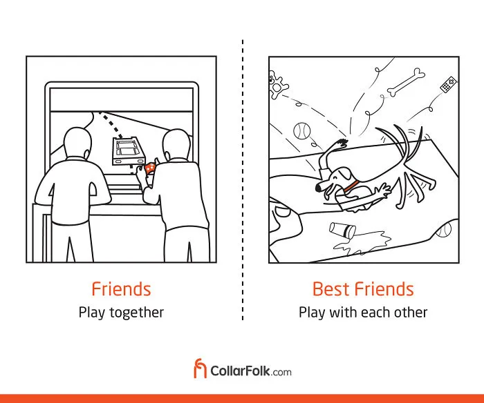 These Illustrations Prove That Dog Is Man's Best Friend