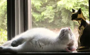 I Curate Art By & For Cat Lovers To Honor The Memory Of Callie, A Beautiful Soul