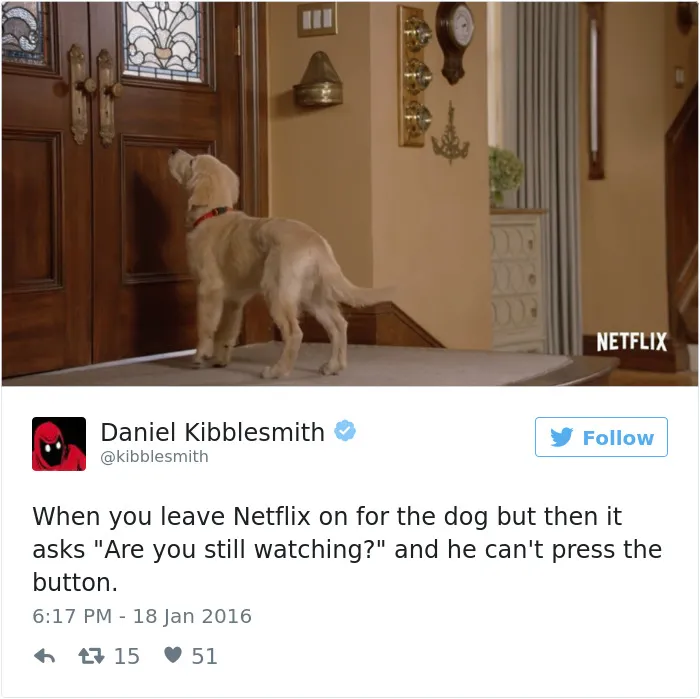 147 Of The Best Dog Tweets Of All Time