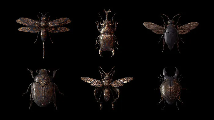 Engraved Entomology: My Project Inspired By Morbid Subjects