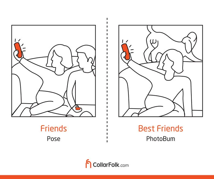 These Illustrations Prove That Dog Is Man's Best Friend