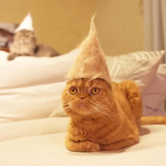 Posing With A Hat