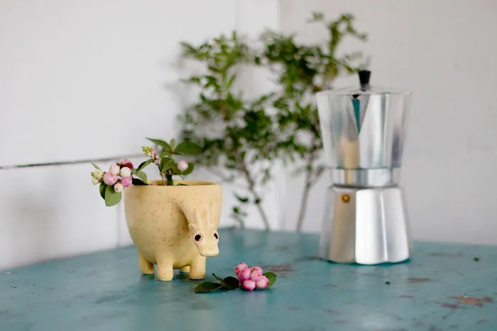 I Make These Magical Ceramic Animals