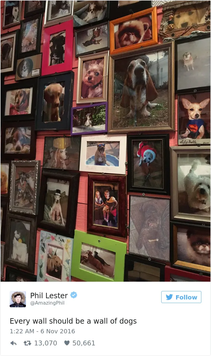 147 Of The Best Dog Tweets Of All Time