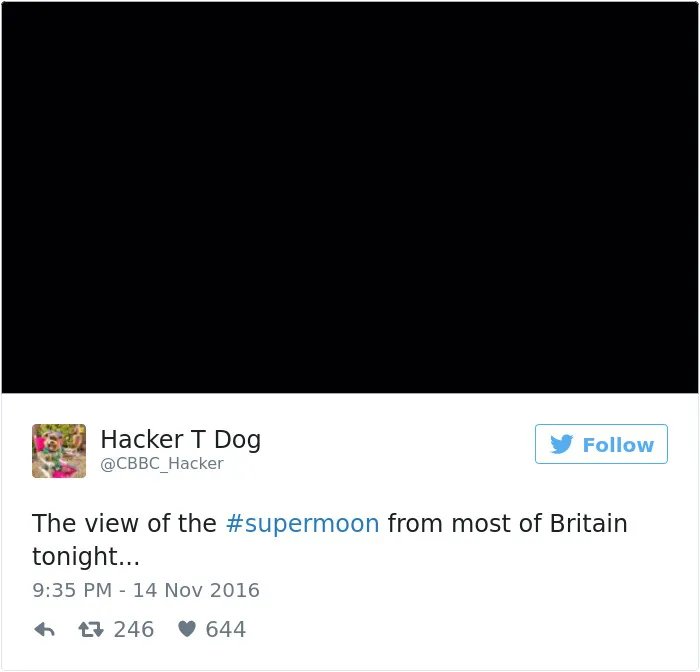 76 Hilarious Reactions To The Disappointing Supermoon