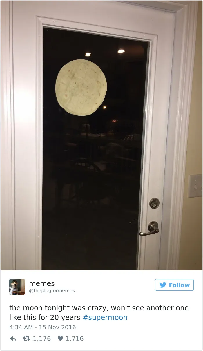76 Hilarious Reactions To The Disappointing Supermoon