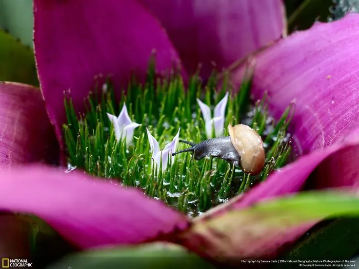Moving At A Snail's Pace...