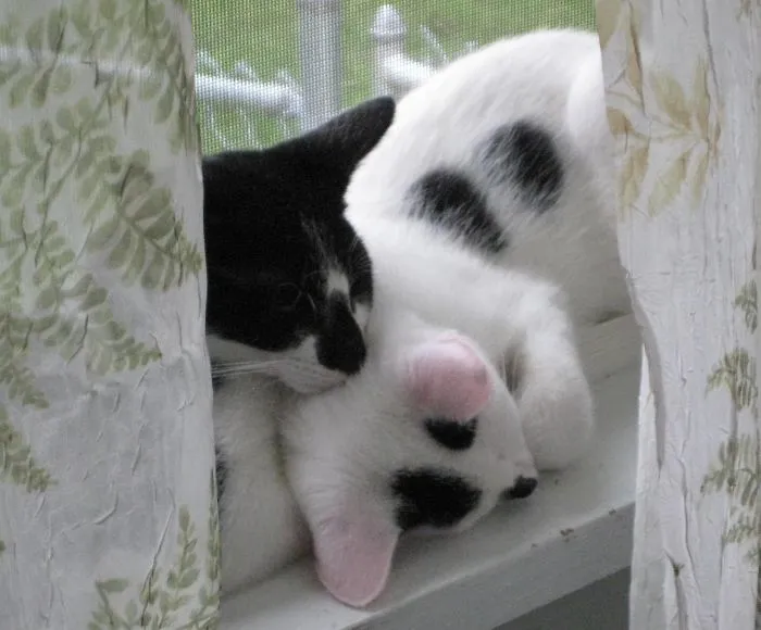 Black & White