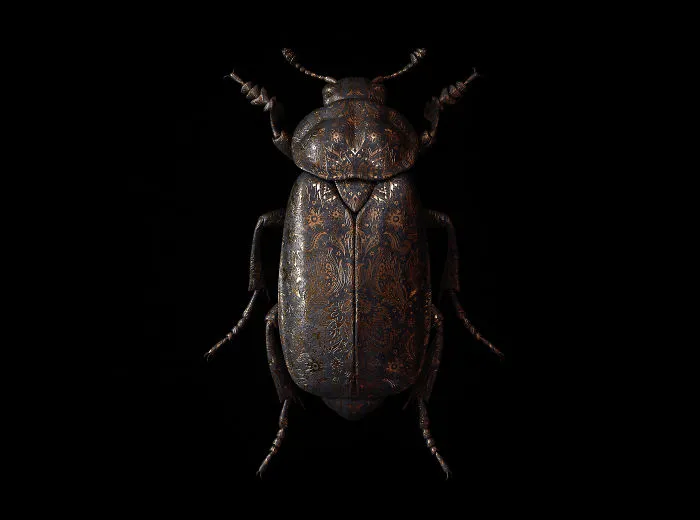 Engraved Entomology: My Project Inspired By Morbid Subjects