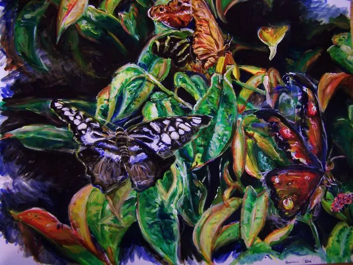 I Create Drawings And Paintings Of Animals Using Paints Or Coloured Pencils.