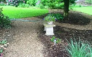 I Photographed The Same Spots In Three Seasons