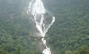 Discover The Best Tourist Places In Goa