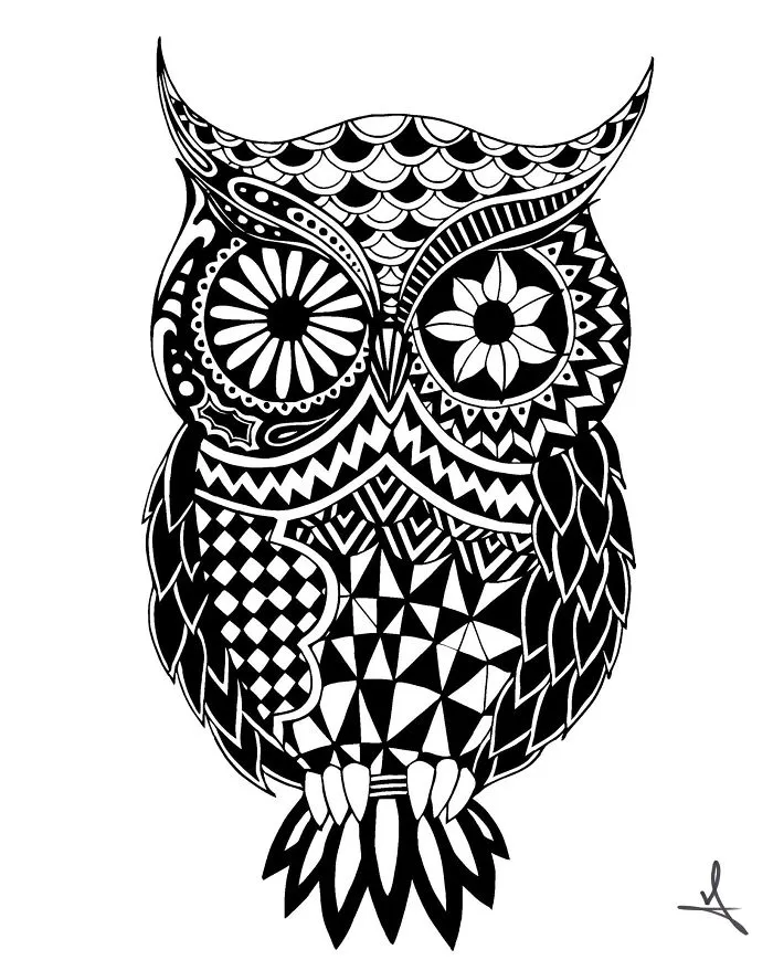 I Spend My Free Time Drawing Intricate Animals And Skulls
