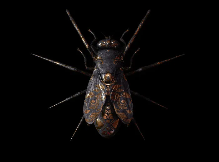Engraved Entomology: My Project Inspired By Morbid Subjects