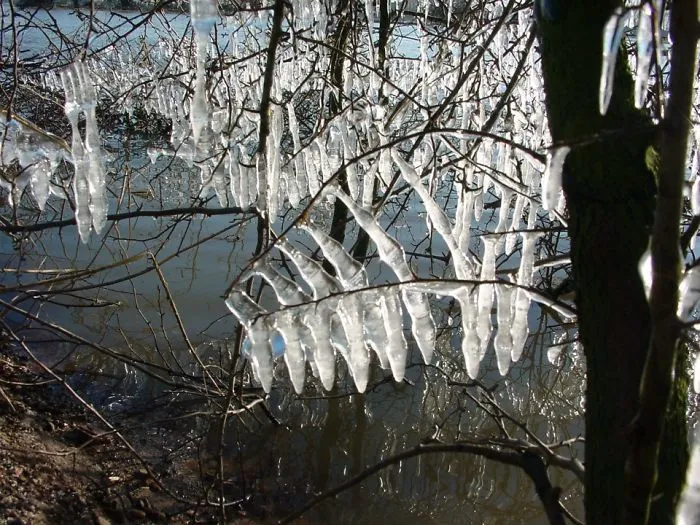 Crystal Bells Of Ice By Jean Renard