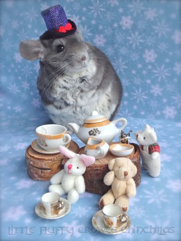 I Take My Tea With Vodka.