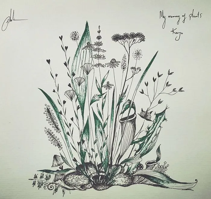 How Many Plants That You Can See? Names?