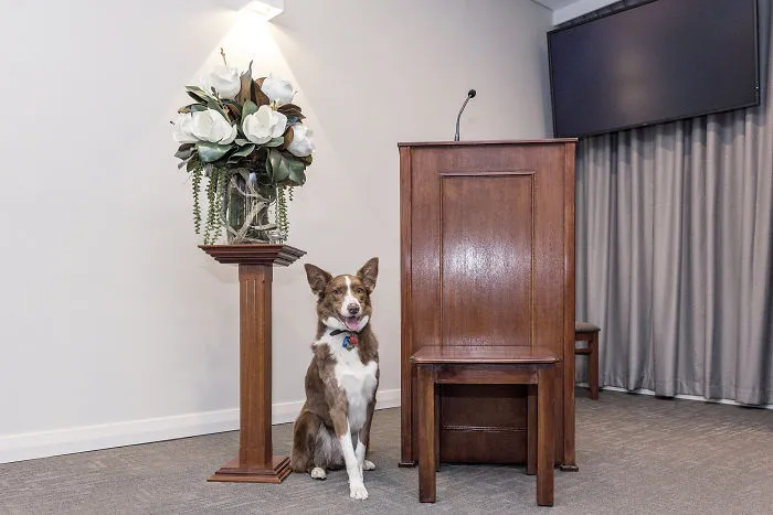 Anxious Dog Finds His Calling At A Funeral Home