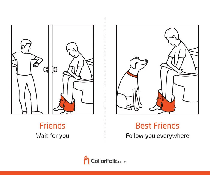 These Illustrations Prove That Dog Is Man's Best Friend