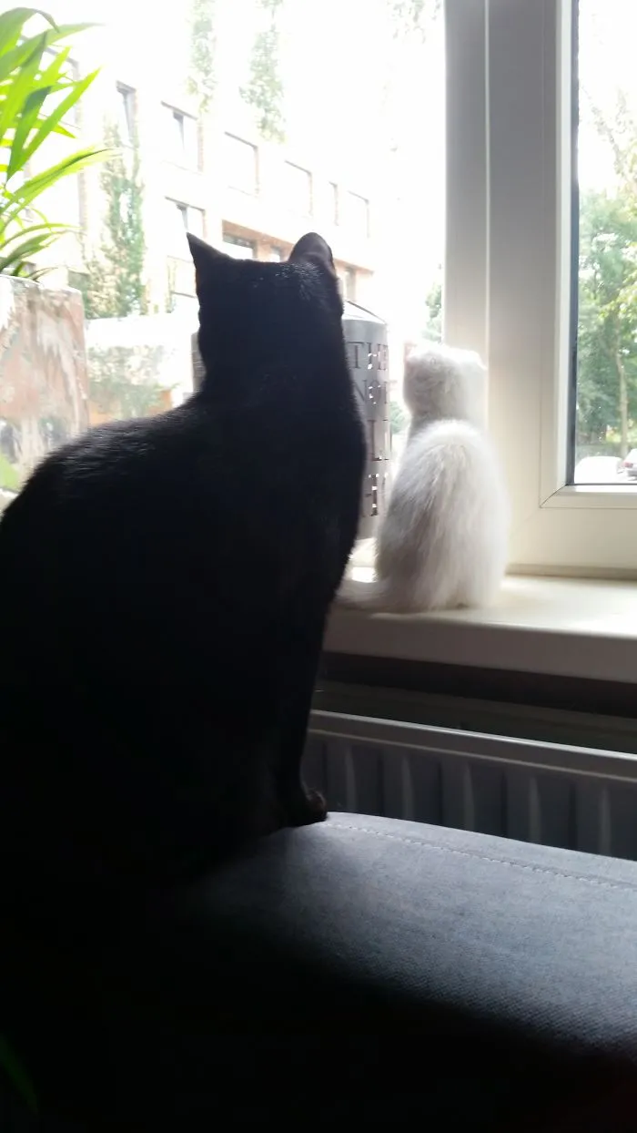 Siep & Saar From Holland