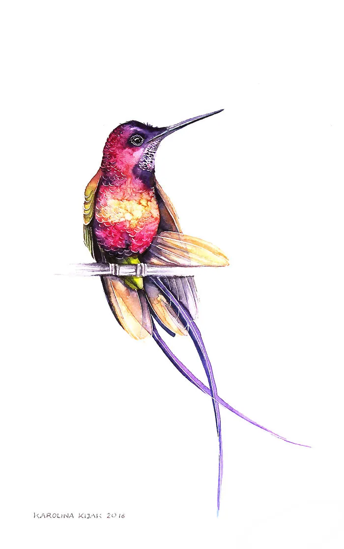 Hummingbird