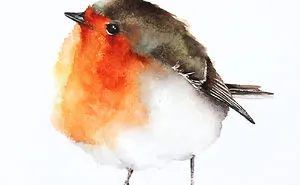 I Watercolor Birds To Express How Much I Love Them
