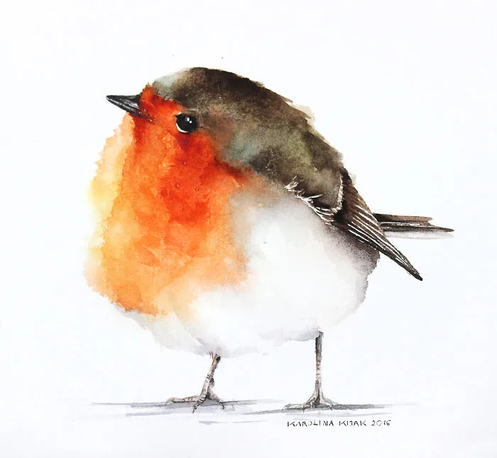 Robin