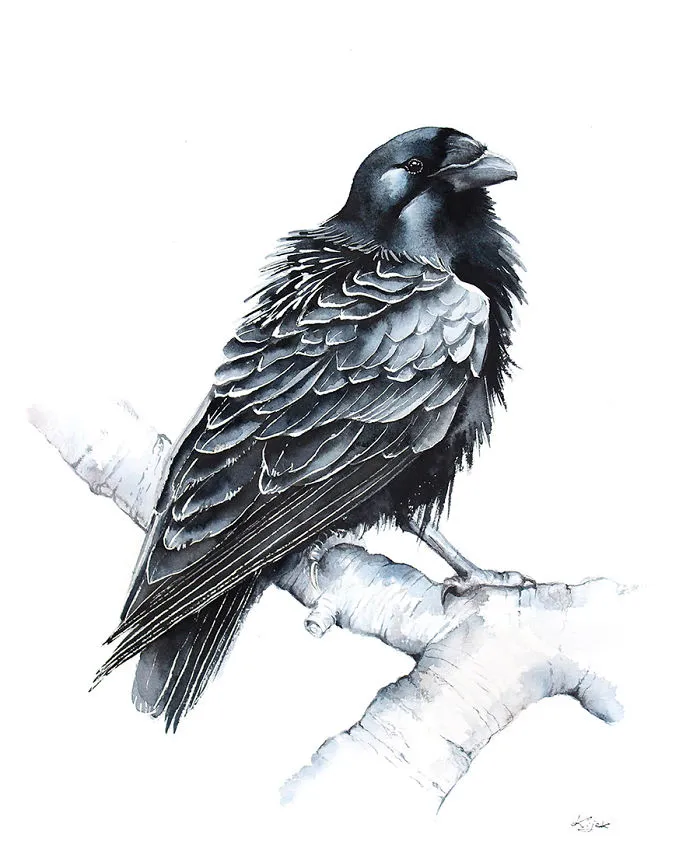 Raven