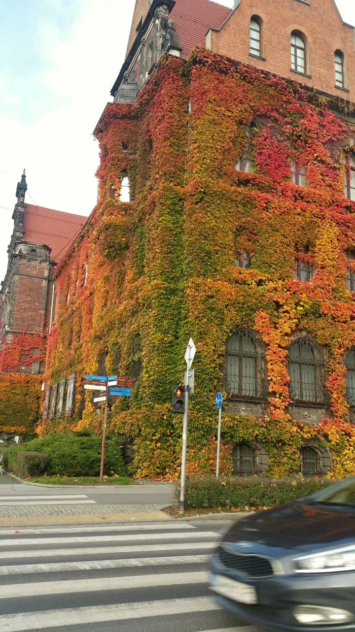 Wroclaw 2016