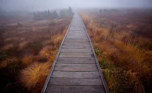 Walking In The Fog
