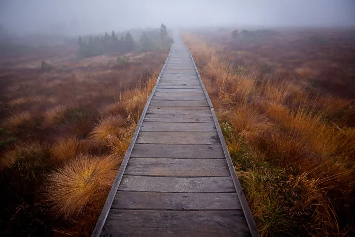 Walking In The Fog
