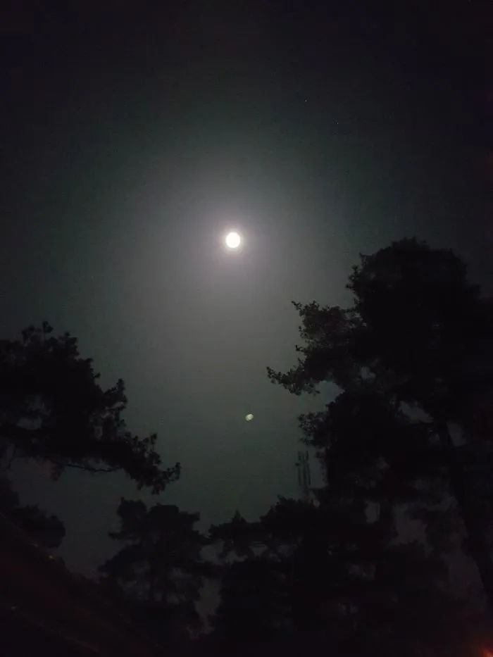 76 Hilarious Reactions To The Disappointing Supermoon