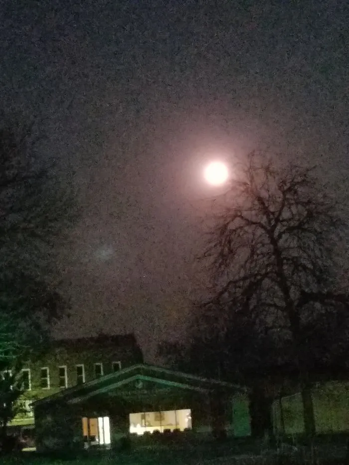 76 Hilarious Reactions To The Disappointing Supermoon